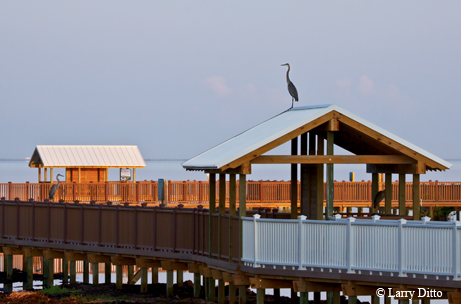 Birding center